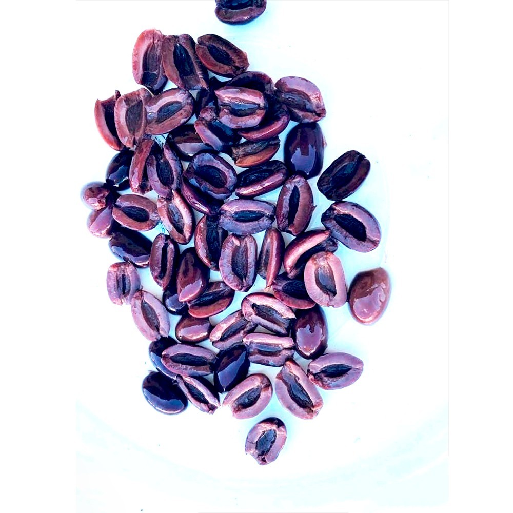 ACEITUNAS NEGRAS DESHUESADAS EN MITADES